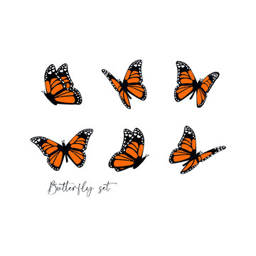 set of butterflies vector