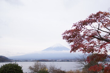 mount fuji in autumn