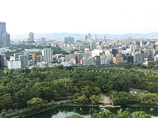 Fototapeta na wymiar Osaka downtown cityscape with park and river