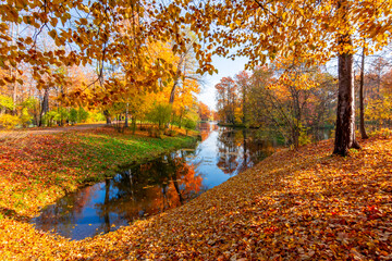 Autumn foliage in Alexander park, Tsarskoe Selo (Pushkin), Saint Petersburg, Russia
