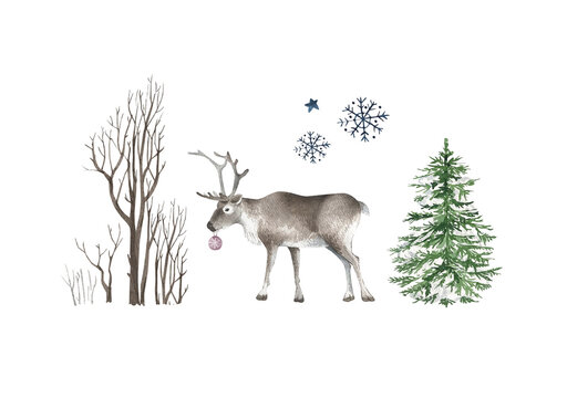 set of watercolor illustrations nature trees and animal reindeer, hand painted on white background