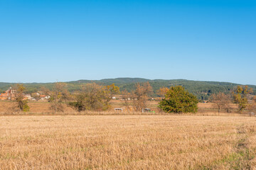 Fototapeta premium Hay bail truck crossing near dry hay field clear cut path warm color bulgaria rural landscape sun day clear blue sky