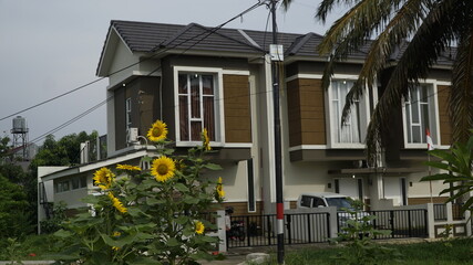 Sunflowers decorate the garden.