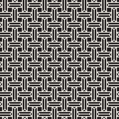 Vector seamless pattern. Repeating geometric black and white woven lines. Abstract lattice background design.