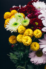 bouquet of colorful asters on a black background