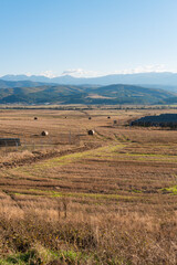 Massive hay field dry with a clear cut path mountain backdrop warm color bulgaria rural landscape sun day clear blue sky