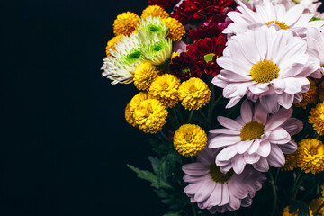 bouquet of colorful asters on a black background