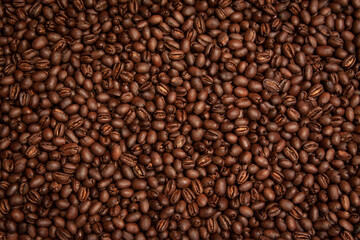 Peaberry Kona Coffee Bean Background - obrazy, fototapety, plakaty