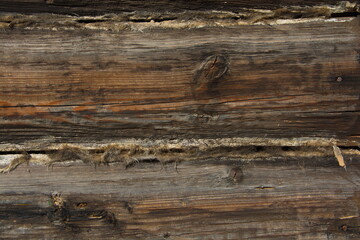 Naklejka premium wood texture