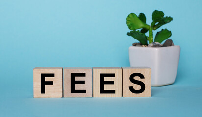 On a blue background, on wooden cubes near a plant in a pot, the word FEES is written