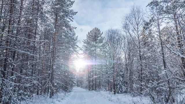 A winters scene animation with cars driving slowly down a snow-covered road and leaves falling gently from the trees. video loop