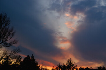 Naklejka na ściany i meble Big tree and beautiful sunset and dramatic clouds on the sky.