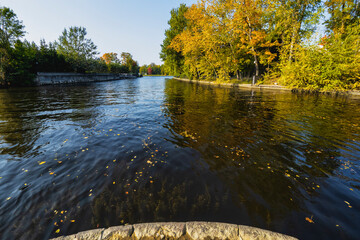 autumn in the park in autumn