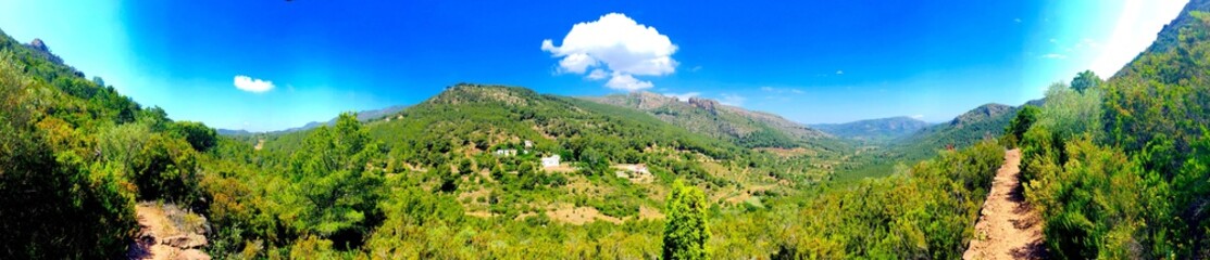 Naklejka premium Parque natural del Desierto de las palmas en Castellon de la plana