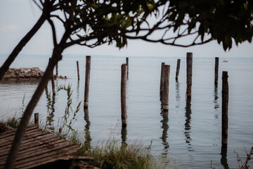 Fototapeta na wymiar Blue ocean, pier with trees, Italy