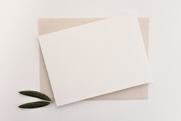 Blank paper and olive leaves