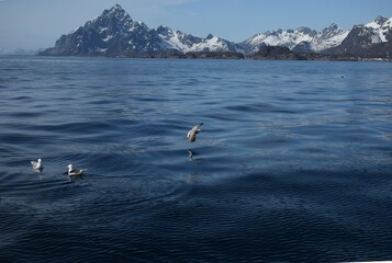 Obraz premium Sea and mountain