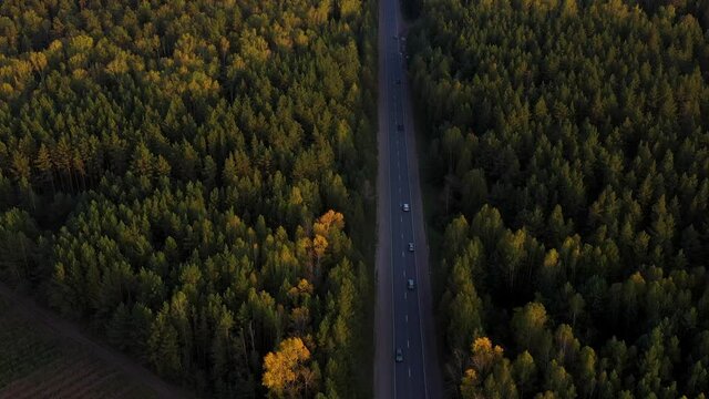 The car goes on a country road along the forest. Beautiful landscape from a height, autumn forest