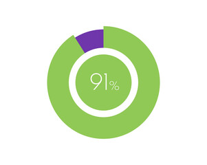 91% Percentage, 91 Percentage Circle diagram infographic