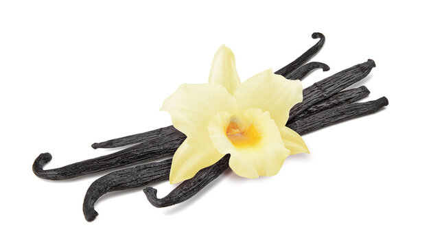 Vanilla Flower With Sticks Isolated On White Background