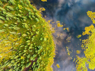 Fototapeta na wymiar Aerial view of colorful pond in the marshlands during a fall season day. Taken in Yukon, Canada.