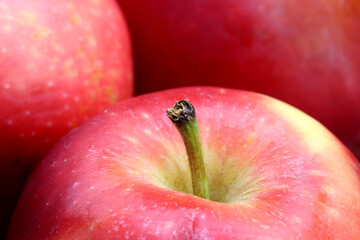 close-up organic and fresh apple