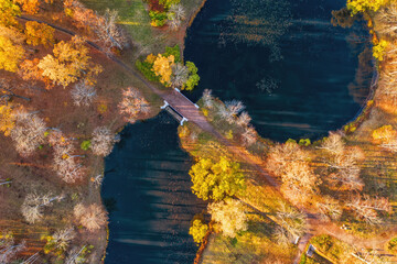 Bridge in autumn park top aerial view