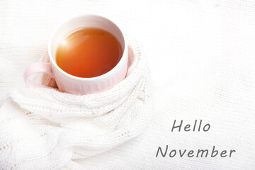 A Cup of tea in a knitted sweater . Hello November. Postcard with text. Hot tea. Autumn. Autumn mood. A knitted item. Tea in a Cup. Copy space