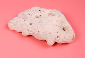 white coral on pink