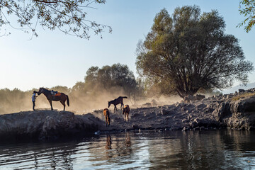 Fototapete bei efototapeten.de bestellen   