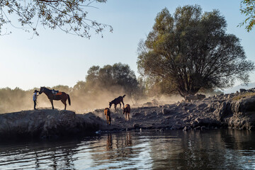 Fototapete bei efototapeten.de bestellen   