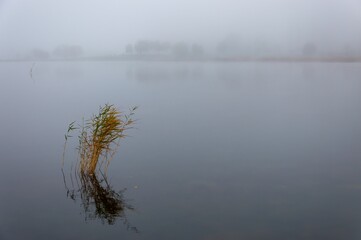 fog on the lake