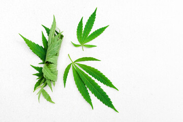 Cannabis, marijuana leaves on a light white surface, top view, copy space. Symbol of peacefulness,...