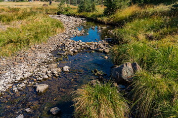 Crni Rzav river on Zlatibor mountain in Serbia