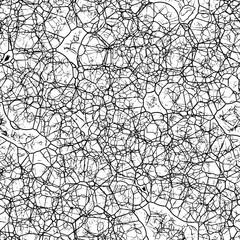 Obraz premium A 3d digitally rendered illustration of a seamless pattern of strange web like lines.