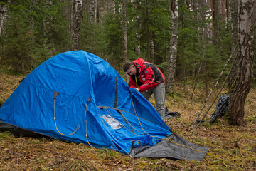 A young man in hiking clothes sets up a blue tent in the autumn forest. Tourism, activity, lifestyle.
