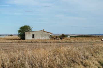 Fototapeta na wymiar dry field with abandoned house next to a tree in the province of Toledo. Spain