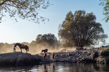 Fototapete bei efototapeten.de bestellen   