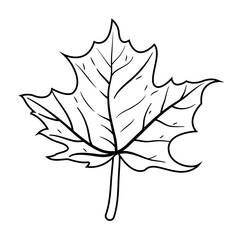 Naklejka premium autumn maple leaf nature icon