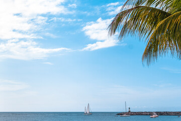tropical island with trees