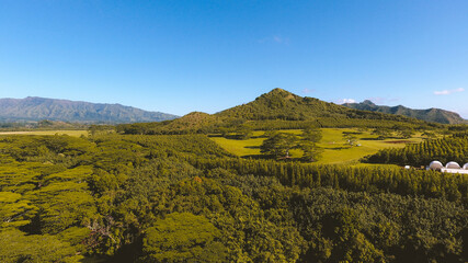 Obraz premium Wailua Falls, Kauai, Hawaii