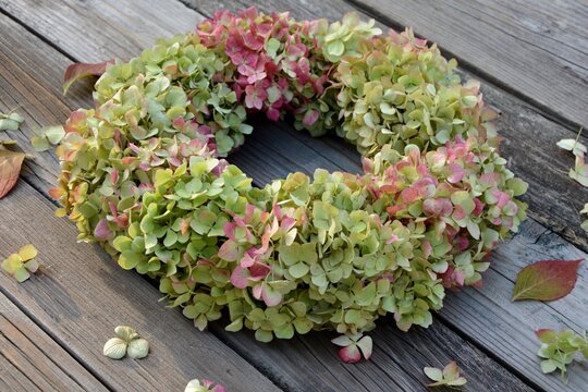 Hydrangea wreath on old  wooden background close up
