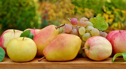 Fresh ripe  apples, pears and grapes on wooden table on the background of the garden close-up.
