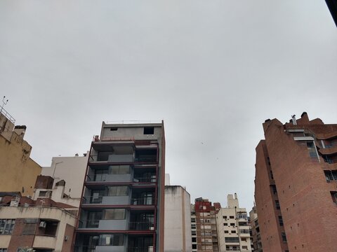 Edificios y grises