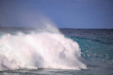 Waves  surfing Banzai Pipeline, North shore, Oahu, Hawaii