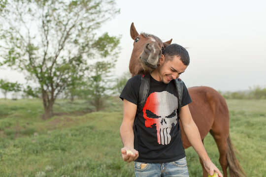 Guy with a horse in a green field. Communication with animals