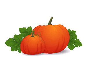 Composition with pumpkins and leaves on a white background. Thanksgiving or Halloween decoration. Banner, poster, card, leaflet, border or frame design. Vector illustration.