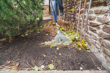 Gardener collects fallen leaves by long rake