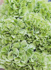 Flower composition. Macro photo. Wedding decor. A Beautiful bouquet of fresh spring flowers.	