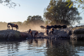 Fototapete bei efototapeten.de bestellen   